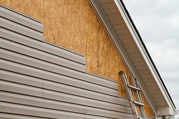 Professional Siding Contractor technician working in Black Diamond, FL